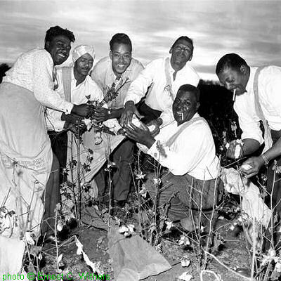 l to r: unknown, unknown, James Cotton, Little Walter, Howlin' Wolf, unknown, Arkansas early 1960's (Caption in Withers' book 'The Memphis Blues Again': '(left to right): Unidentified, Chico Chism [which he's definitely not!], James Cotton, Little Walter, Howlin' Wolf, Big Bill Hill [might be him!].' taken in Brinkley, Arkansas, c. 1961); source: Ernest Withers & Daniel J. Wolff: The Memphis Blues Again: Six Decades of Memphis Music Photographs.- New York (Viking Studio) 2001 // Booklet of Chess/MCA CHD3-9332; photographer: Ernest C. Withers; click to enlarge!