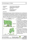 Kurzportrait Projekt 'Grundsatz-UVP 'Laermschutzanlagen an Straßen' als pdf-Dokument; bitte Anklicken (74 KB)